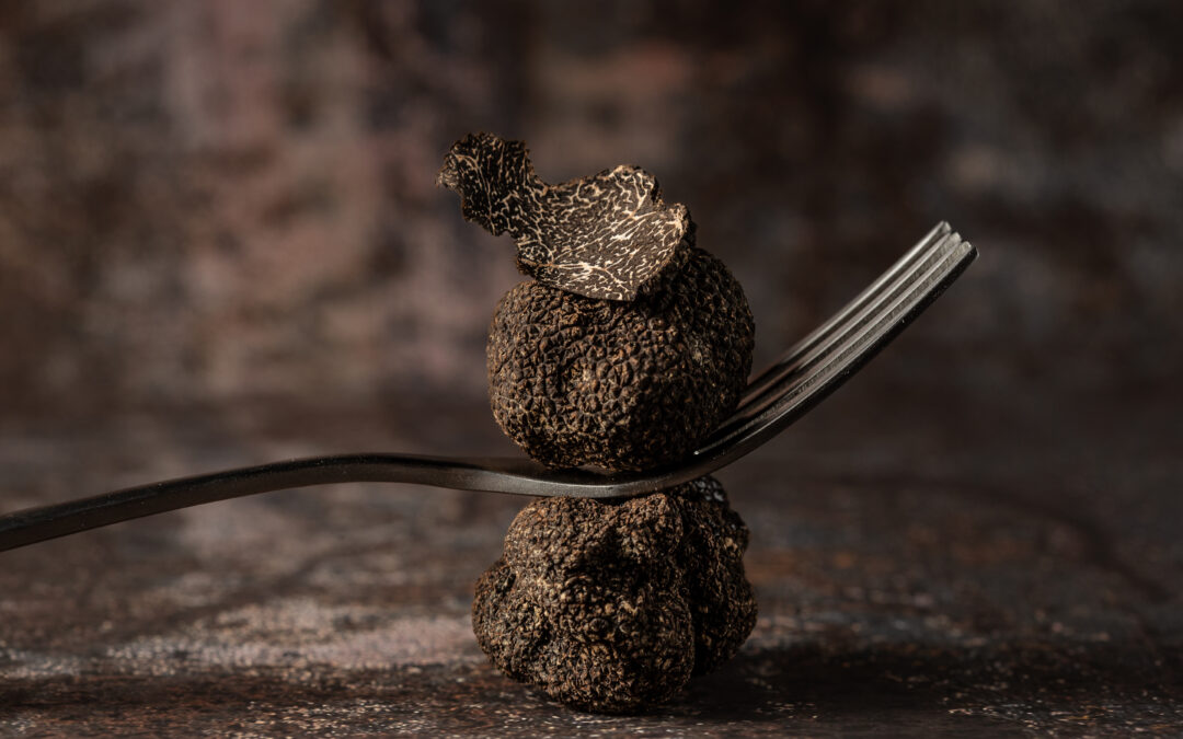 A portée de truffes!